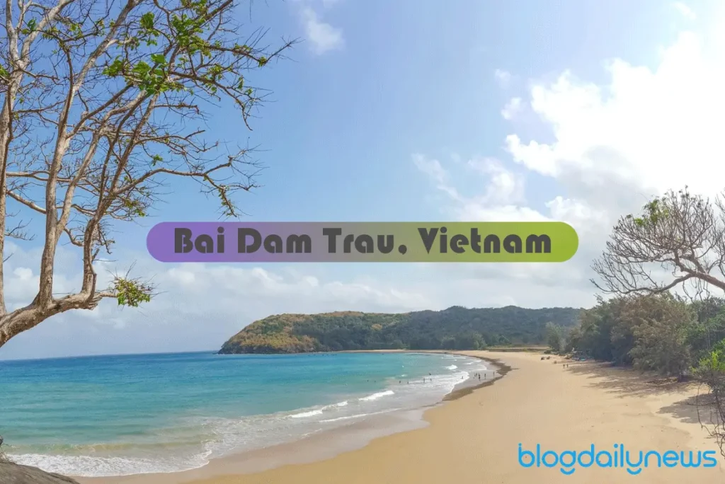 bai-dam-trau-vietnam